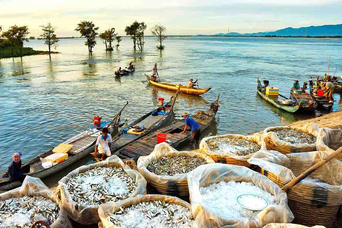 Flooded landscape with boats moving through lush green countryside