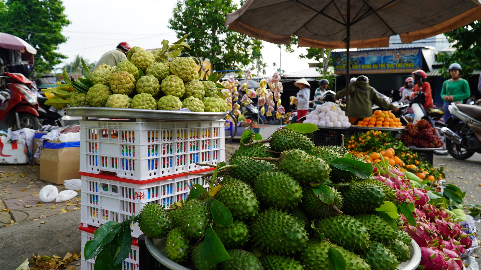 Fresh tropical fruits displayed at a local street market