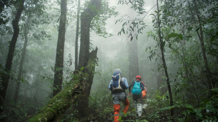 Nam Ha National Protected Area