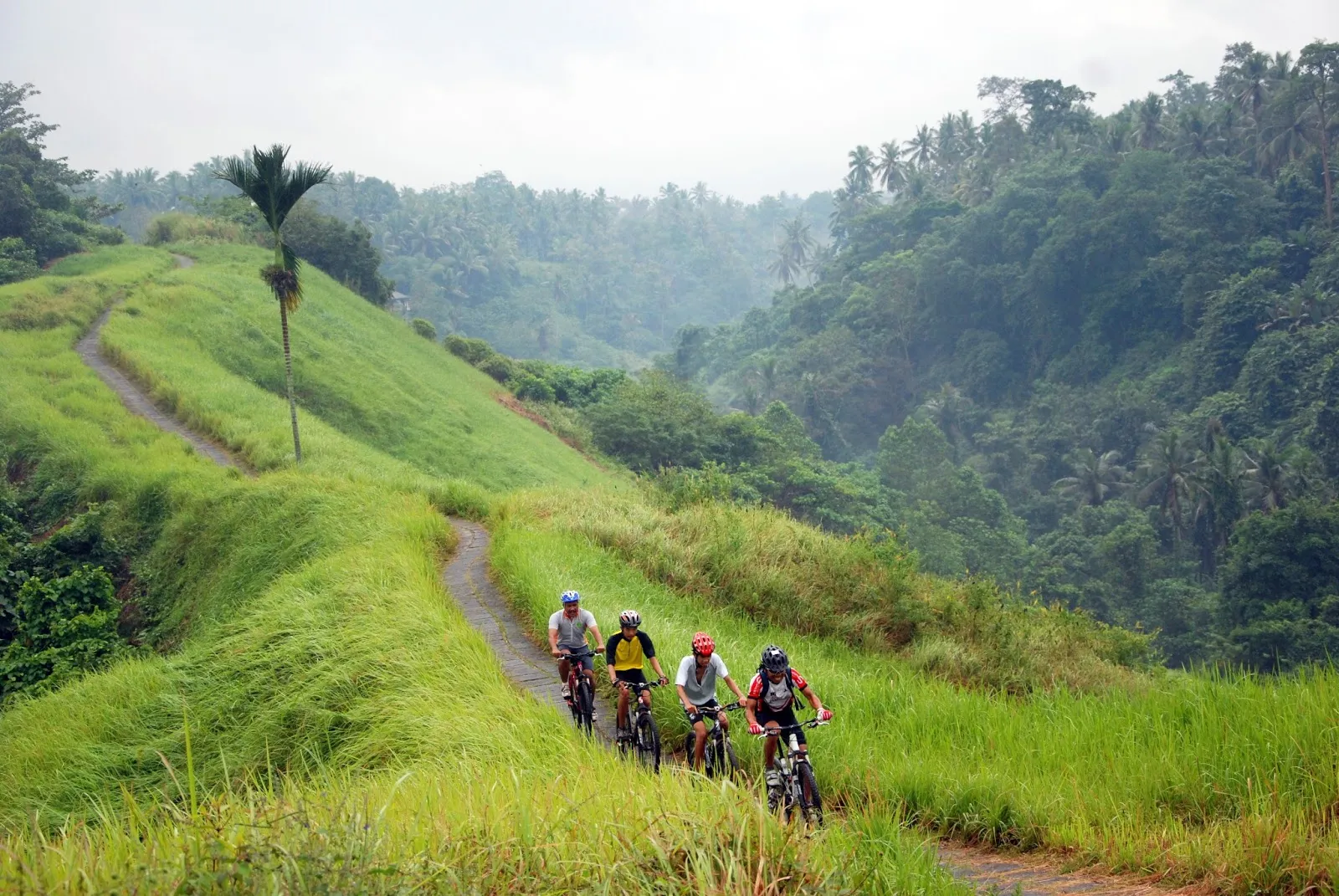 Various travel activities including trekking cycling and sightseeing