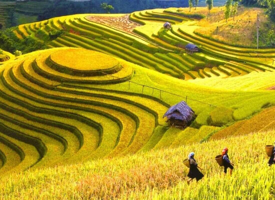 1 Day Sapa Tour Explore Y Linh Ho And Lao Chai And Ta Van Village